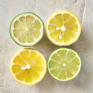 Convert's Multivariate Feature Metaphor