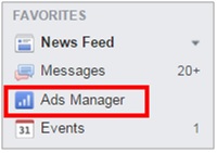 ads manager