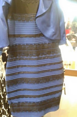 dress that nearly broke the internet