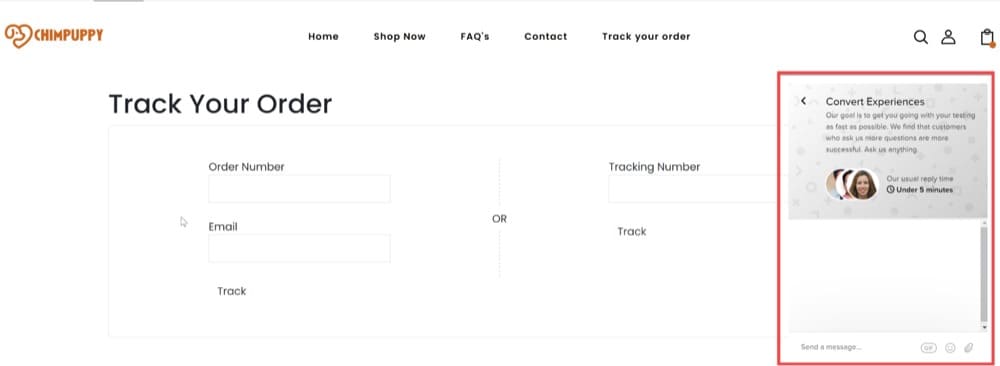 multipage testing adding chat function on track your order page