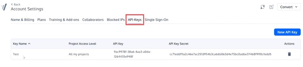 Convert Experiences API Keys