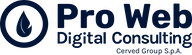 Pro Web Consulting
