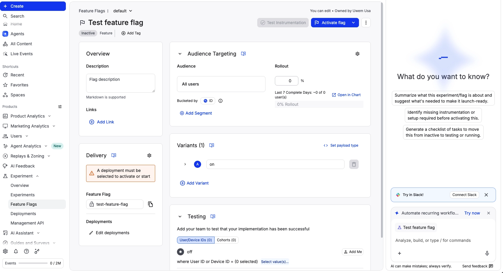 Amplitude feature experimentation feature flag overview screen showing audience targeting